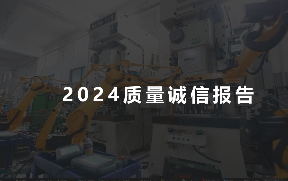 2024年质量诚信报告